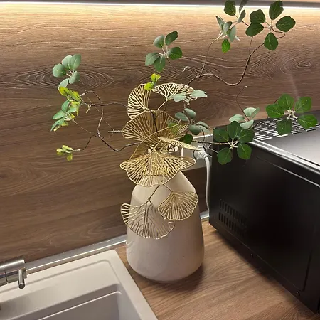 Salotto Santa Franca