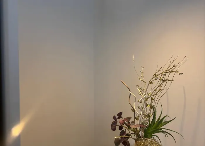 Salotto Santa Franca 3*